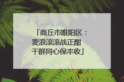商丘市睢阳区：麦浪滚滚战正酣 干群同心保丰收